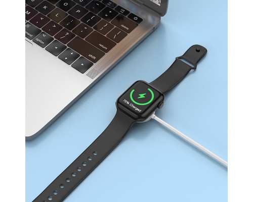 БЗУ BOROFONE BQ13 для Apple Watch (USB) (00000064059_1)