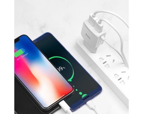 СЗУ Hoco C59A (2USB/2.4A) +lightning (00000039222_1)