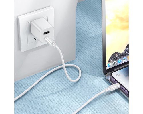Дата кабель Borofone BX112 Lemon USB to Lightning 2.4A (1m) (00000073986_2)