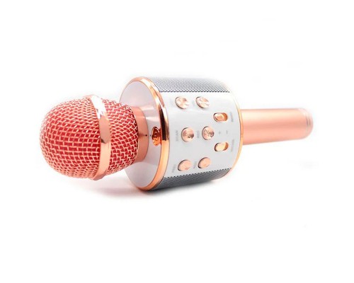 Караоке Микрофон-колонка WS858 (00000066404_3)