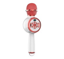 Караоке Микрофон-колонка DS810 (00000074202_1)