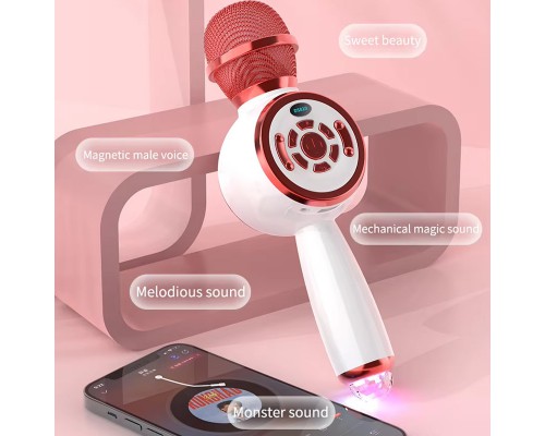 Караоке Микрофон-колонка DS810 (00000074202_1)