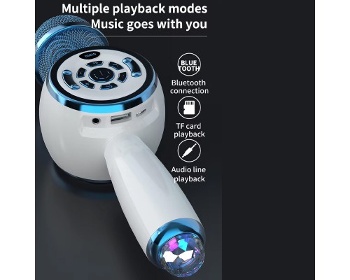 Караоке Микрофон-колонка DS810 (00000074202_2)