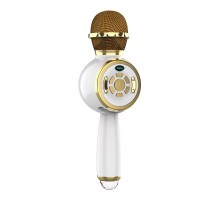 Караоке Микрофон-колонка DS810 (00000074202_3)