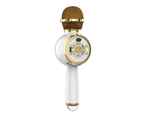 Караоке Микрофон-колонка DS810 (00000074202_3)