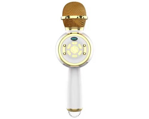 Караоке Микрофон-колонка DS810 (00000074202_3)