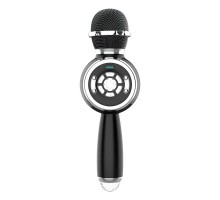 Караоке Микрофон-колонка DS810 (00000074202_4)