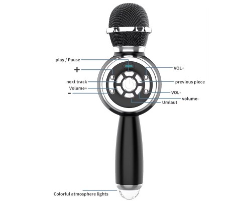 Караоке Микрофон-колонка DS810 (00000074202_4)