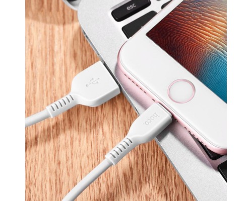 Дата кабель Hoco X20 Flash Lightning Cable (2m) (00000028820_1)