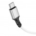 Дата кабель Borofone BX83 Famous PD60W Type-C to Type-C (00000064430_2)