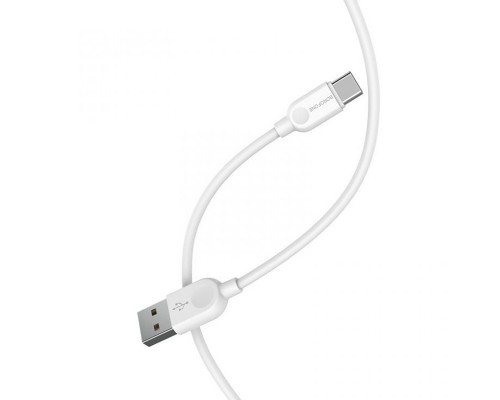 Дата кабель Borofone BX14 USB to Type-C (3m) (00000060121_1)