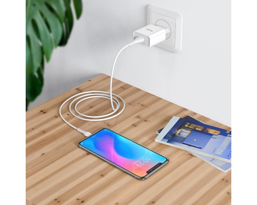 СЗУ HOCO C81A (1USB/2.1A) + MicroUSB (00000042359_1)