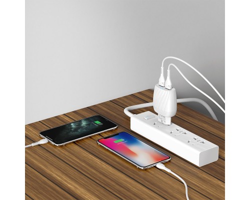 СЗУ Hoco C78A (2USB/2.4A) + Lightning (00000039235_1)