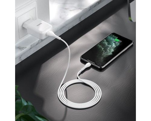 СЗУ HOCO N2 (1USB/2.1A) + USB - Lightning (00000049069_1)