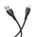 Дата кабель Borofone BX51 Triumph USB to Lightning (1m) (00000055371_2)