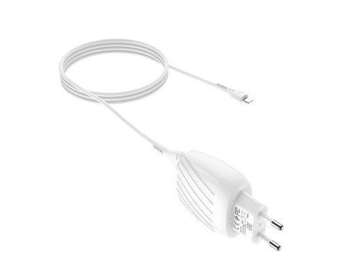 СЗУ Hoco C78A (2USB/2.4A) + Lightning (00000039235_1)