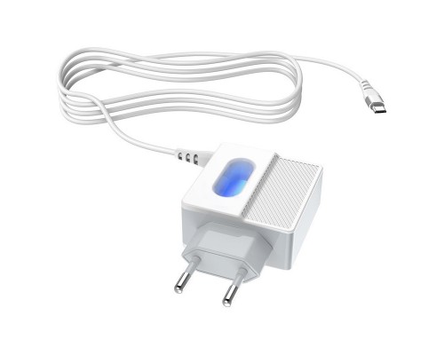 СЗУ Hoco C75 (2USB/2.4A) +microUSB (00000039228_1)