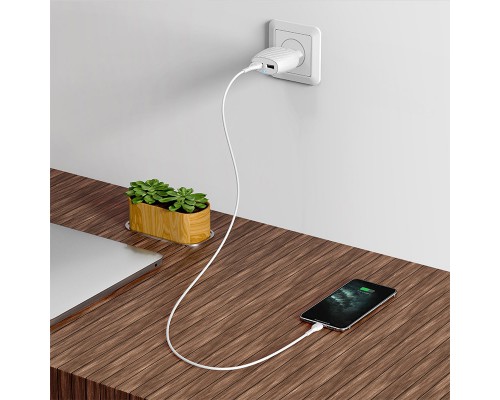 СЗУ Hoco C78A (2USB/2.4A) + Lightning (00000039235_1)
