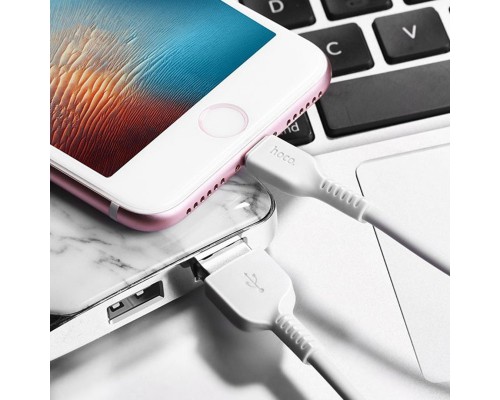 Дата кабель Hoco X20 Flash Lightning Cable (2m) (00000028820_1)