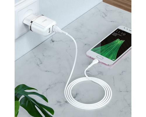 СЗУ Hoco N4 (2USB/2.4A) + Type-C (00000048811_1)