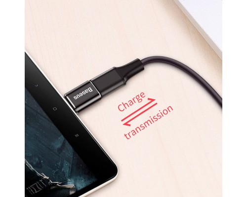 Переходник Baseus microUSB to Type-C (CAMOTG) (00000023414_1)