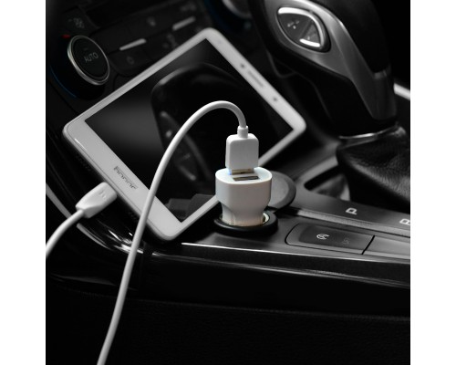 АЗУ Hoco Z2A (2USB 2.4A) (+кабель microUSB) (00000034165_1)