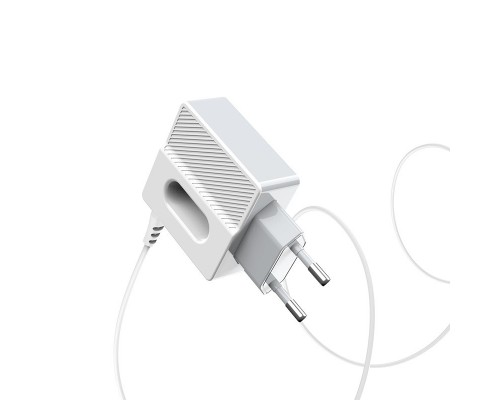 СЗУ Hoco C75 (2USB/2.4A) +lightning (00000039227_1)