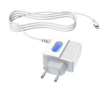 СЗУ Hoco C75 (2USB/2.4A) +lightning (00000039227_1)