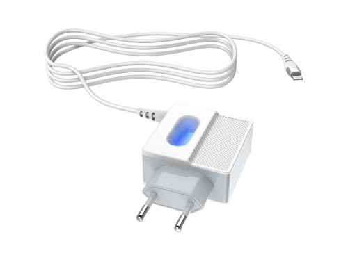 СЗУ Hoco C75 (2USB/2.4A) +lightning (00000039227_1)