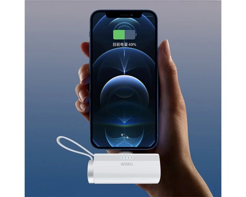 Портативное ЗУ Power Bank WIWU W026 2 in 1 Type-C с БЗУ For Apple Watch 15W 5000 mAh (00000071980_1)
