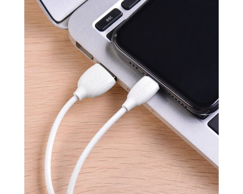Дата кабель Borofone BX19 USB to Lightning (1m) (00000060127_1)