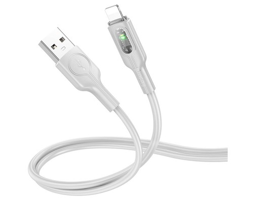 Дата кабель Hoco U120 Transparent explore intelligent power-off USB to Lightning (1.2m) (00000066124_2)
