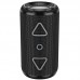Bluetooth Колонка Borofone BR37 Noble sports (00000067809_4)