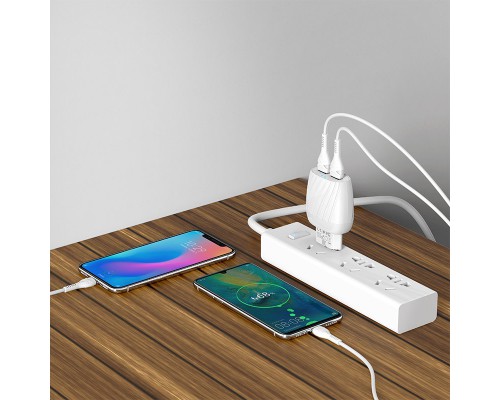 СЗУ Hoco C78A (2USB/2.4A) + Type-C (00000039237_1)