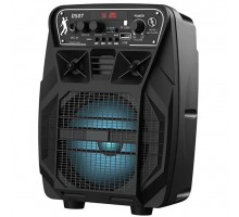 Bluetooth колонка Hoco DS07 с микрофоном (00000041232_1)
