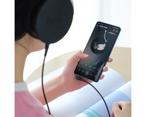Аудио кабель Aux Hoco UPA15 With Mic (1m) (00000035031_2)