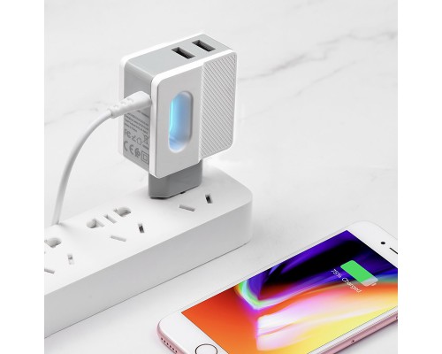 СЗУ Hoco C75 (2USB/2.4A) +lightning (00000039227_1)