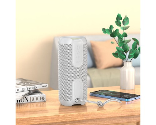 Bluetooth Колонка Hoco BS48 Artistic sports (00000055784_4)