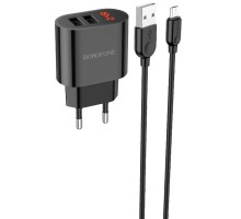 СЗУ Borofone BA63A Richy + MicroUSB (00000056900_1)