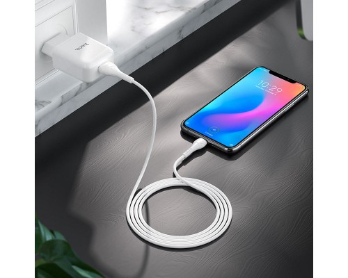 СЗУ HOCO N2 (1USB/2.1A) + USB - Type-C (00000049071_2)