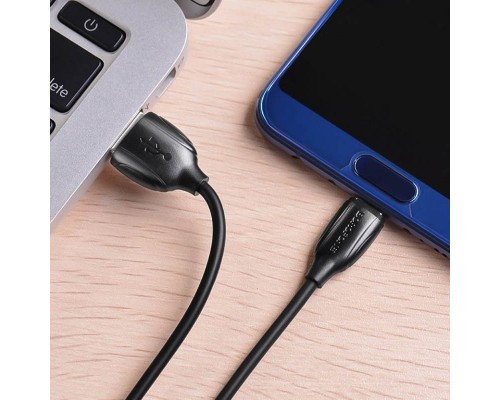 Дата кабель Borofone BX19 USB to Type-C (1m) (00000060129_2)