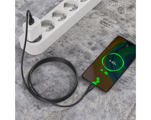 Дата кабель Borofone BX51 Triumph USB to Type-C (1m) (00000055373_1)