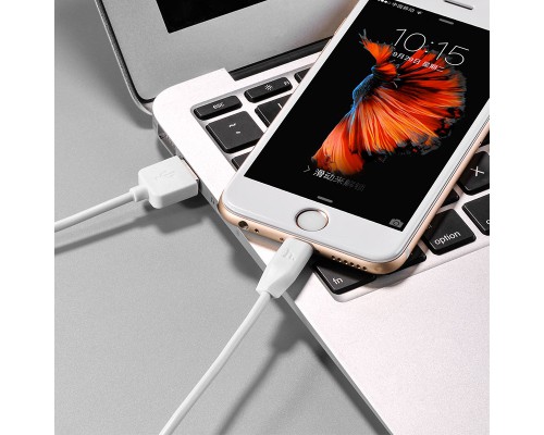 Дата кабель Hoco X1 Rapid USB to Lightning (2m) (00000039203_1)