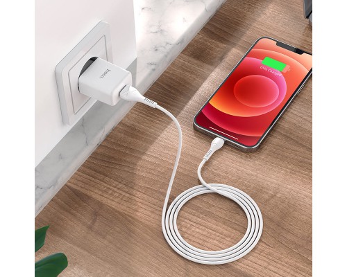 СЗУ HOCO N9 (1USB/2,1A) + Lightning (00000055964_1)