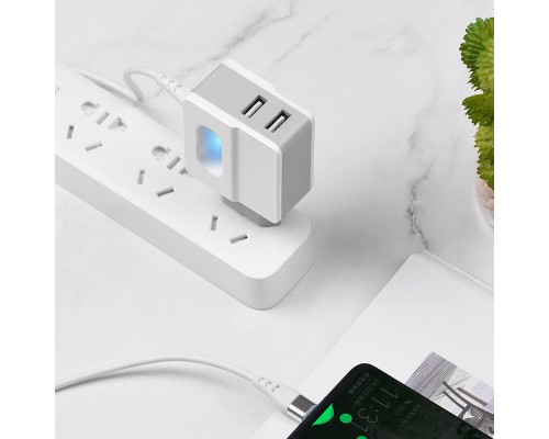 СЗУ Hoco C75 (2USB/2.4A) +microUSB (00000039228_1)