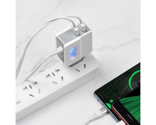 СЗУ Hoco C75 (2USB/2.4A) +lightning (00000039227_1)