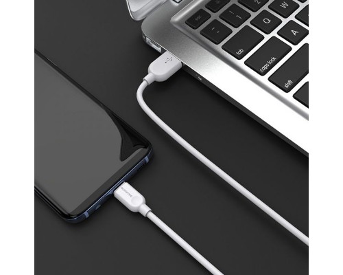 Дата кабель Borofone BX14 USB to Type-C (3m) (00000060121_1)