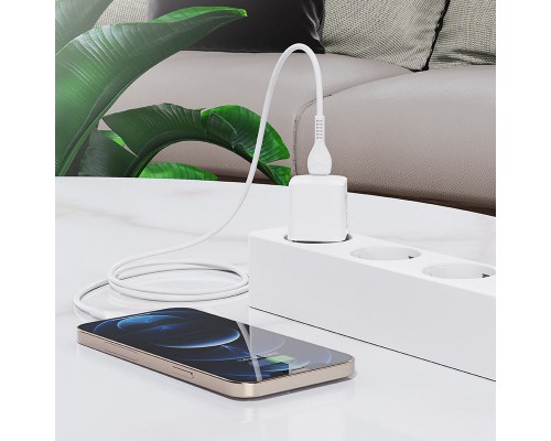 СЗУ HOCO N10 Starter single port PD 20W + Type-C to Lightning (00000056355_1)