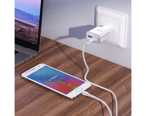 СЗУ HOCO C88A (2USB/2.4A) + MicroUSB (00000055845_1)